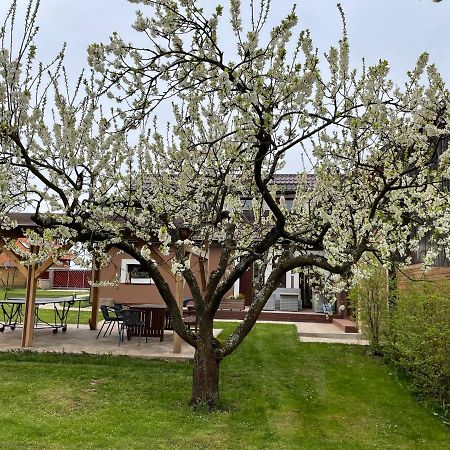 Apartmány U Lípy Tatobity Exterior foto
