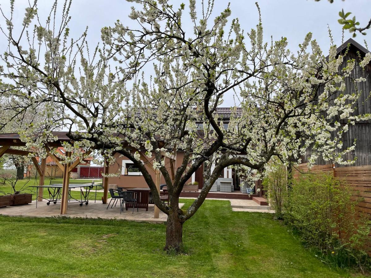 Apartmány U Lípy Tatobity Exterior foto