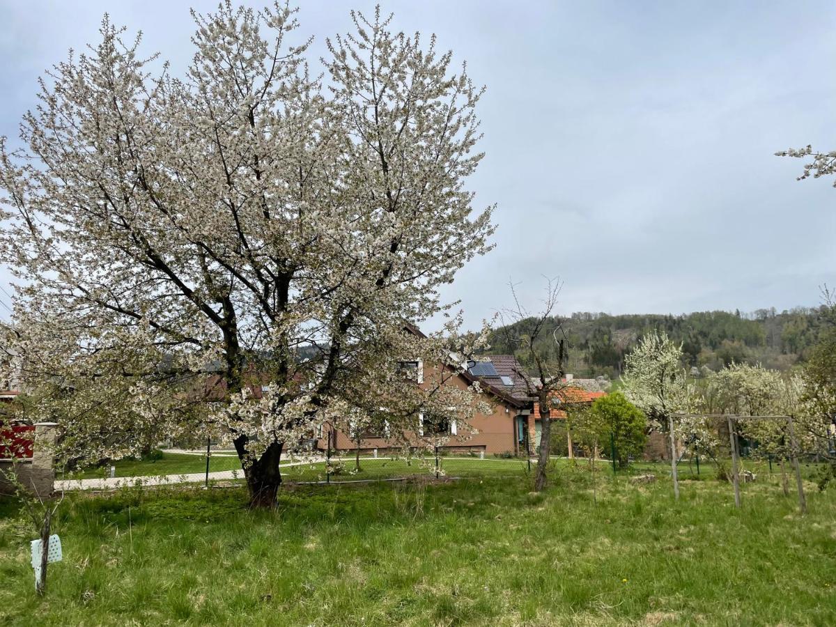 Apartmány U Lípy Tatobity Exterior foto